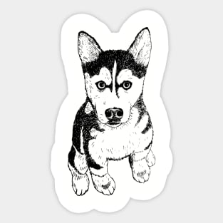 Husky Sticker